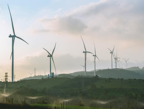 sustainable future